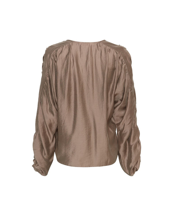 MSCHRAMONA RIKKELIA VOLUME