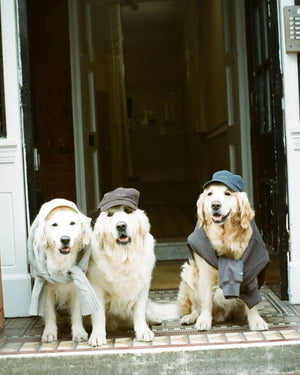 THE MERCER CAP