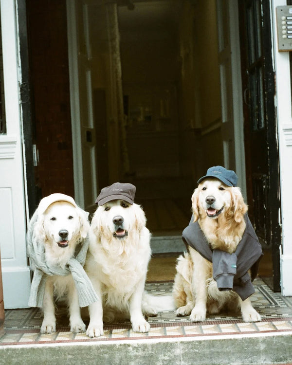 THE MERCER CAP