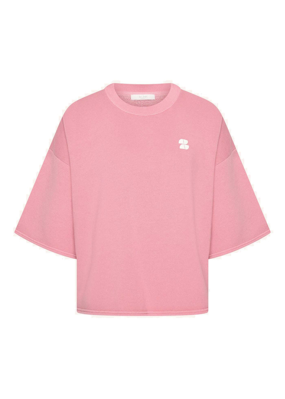 WILLOW DICTIONARY TOP