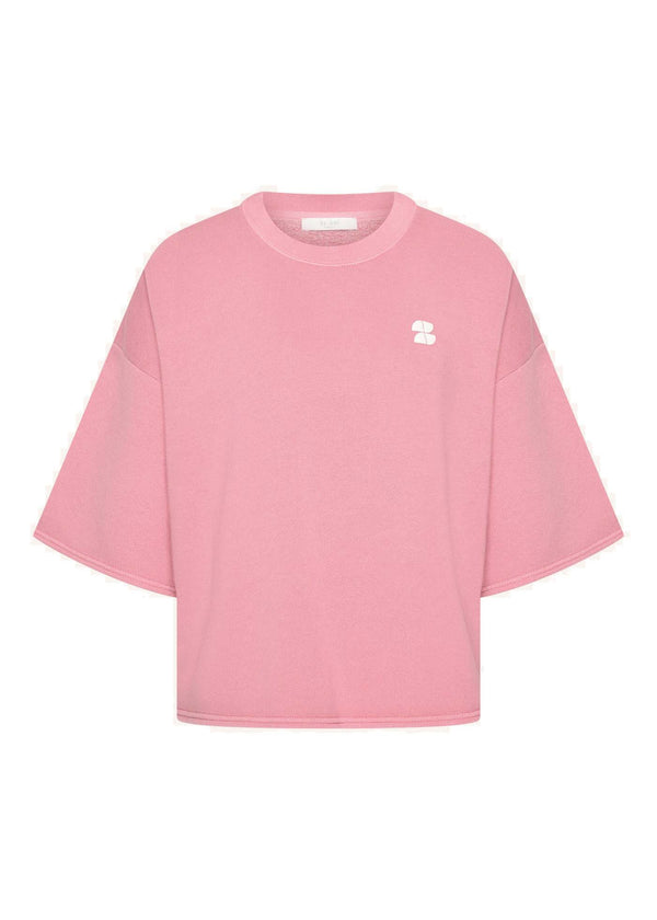 WILLOW DICTIONARY TOP